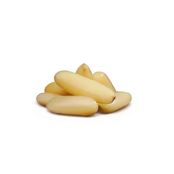 صنوبر - 100جم